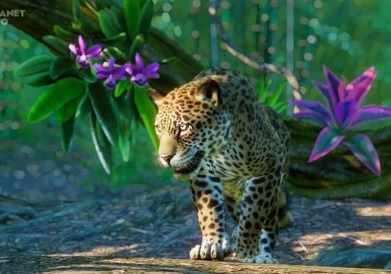 Planet Zoo - South America Pack DLC Global