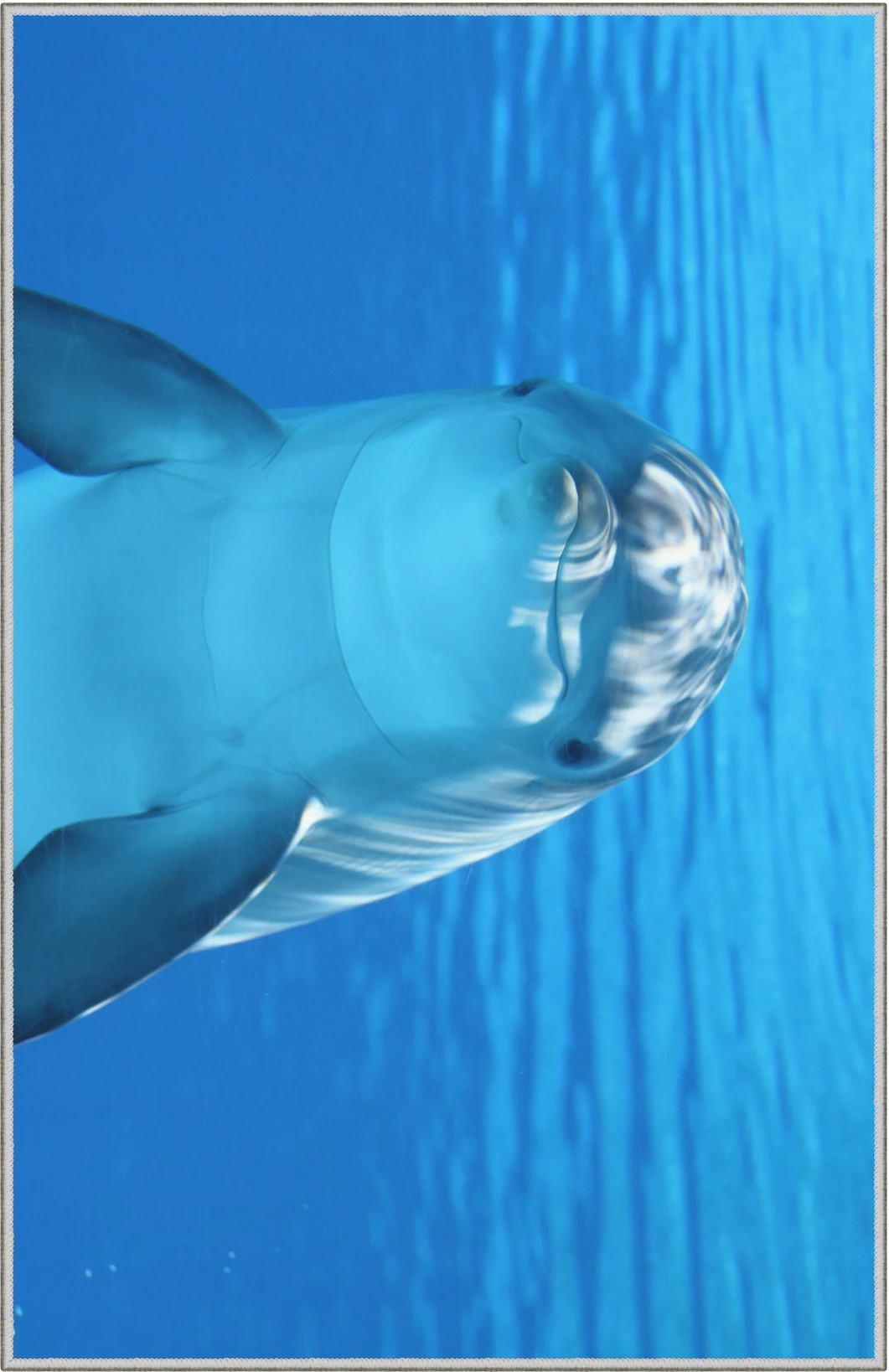 Qilim korridori, shumëngjyrësh, Conceptum Hypnose, WOOKECE068, 80x150cm