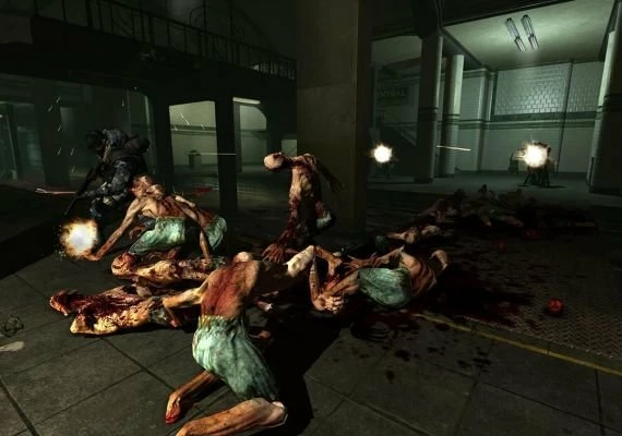 F.E.A.R. EN Global