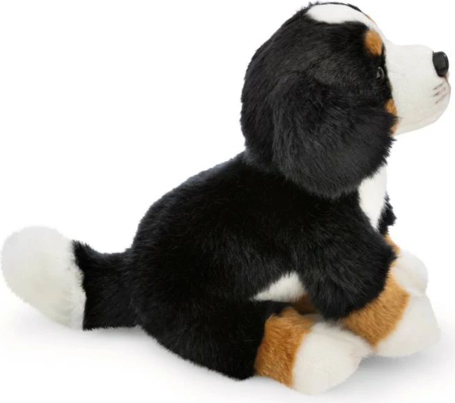 Nici Loder E Bute 20Cm Qenushi Bernese 62603
