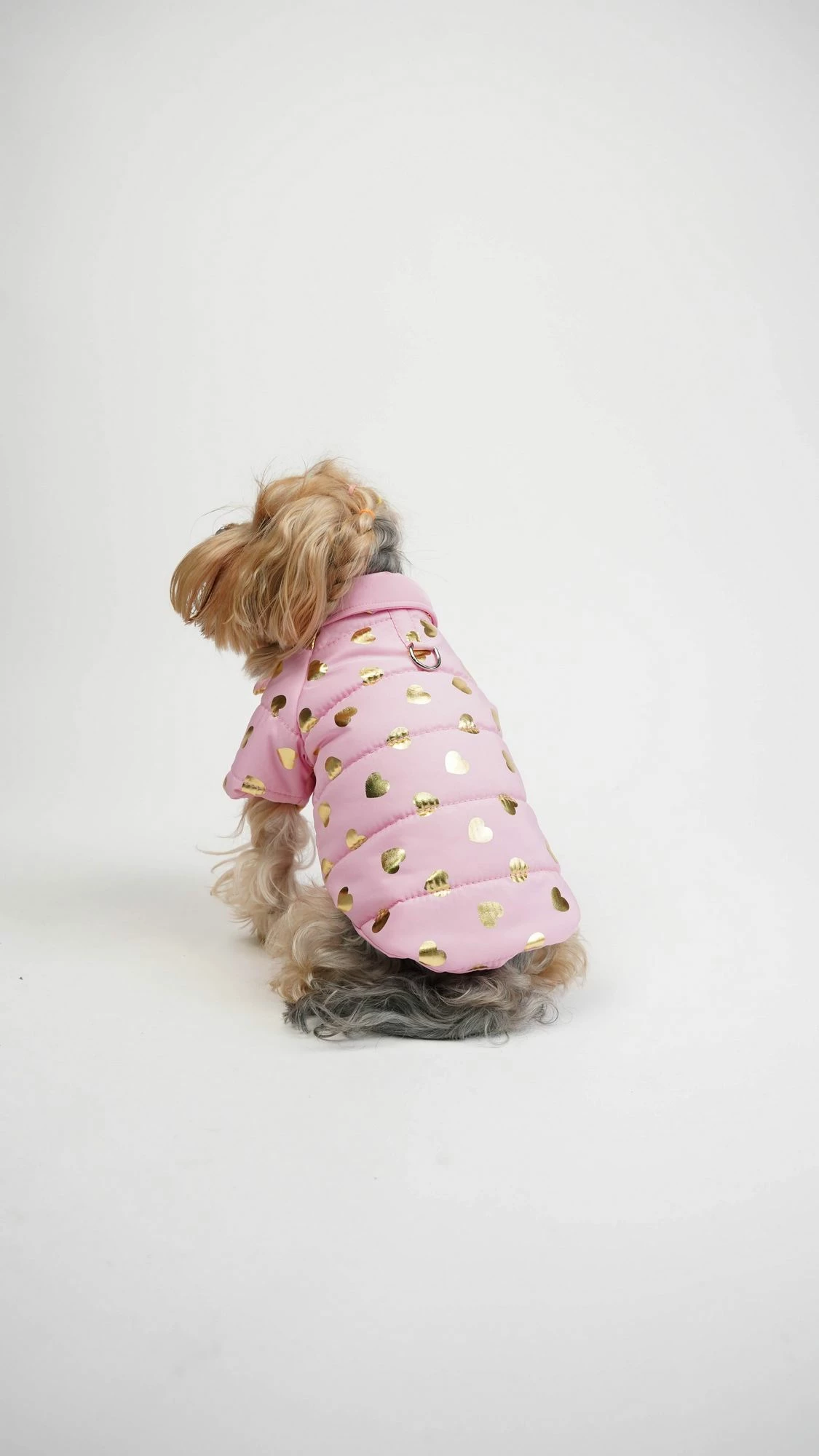 Hudi për qen, Paws & Whiskers, Amour Coat, rozë