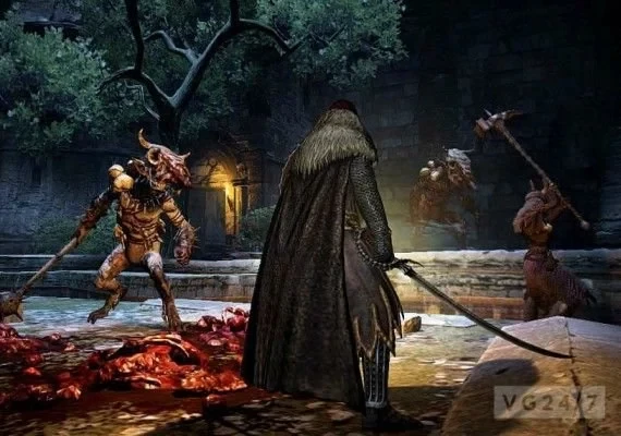 Dragon's Dogma: Dark Arisen EN Global