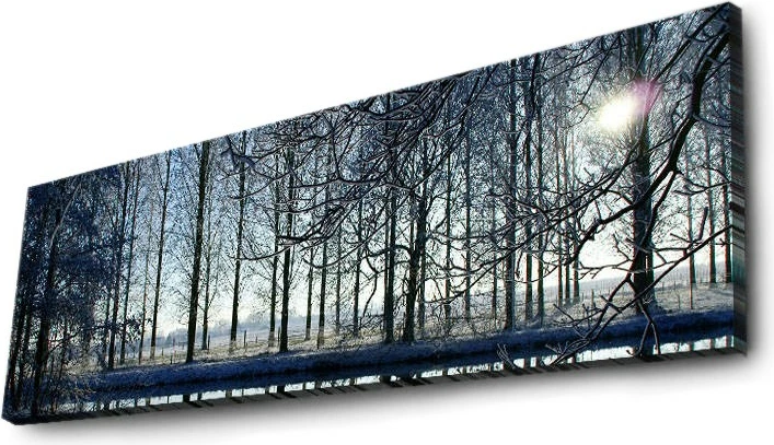 Pikturë dekorative me drita LED, Wallity, 3090DACT-37, shumëngjyrëshe, 30x90cm