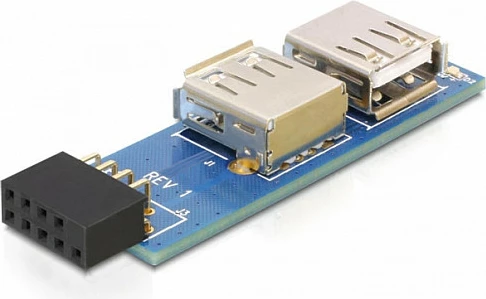 Adapter USB i brendshëm DeLOCK 9-pin 2.54 mm në 2x USB 2.0-A, zi/blu/argjendtë