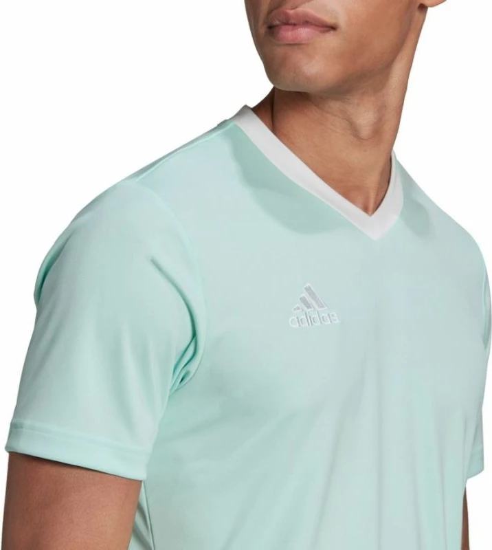 Maicë adidas për meshkuj, e gjelbër