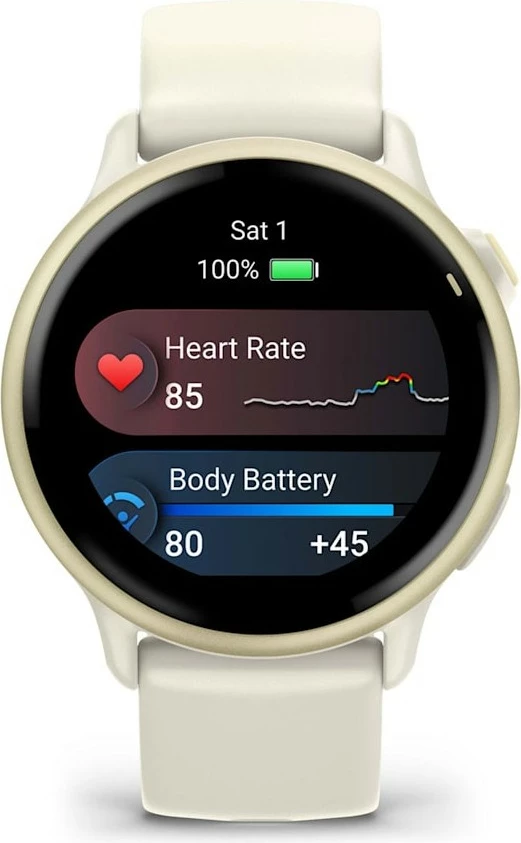 Smartwatch Garmin vivoactive 6 bone lunargold