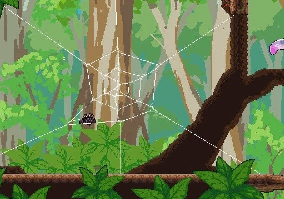 Webbed Global