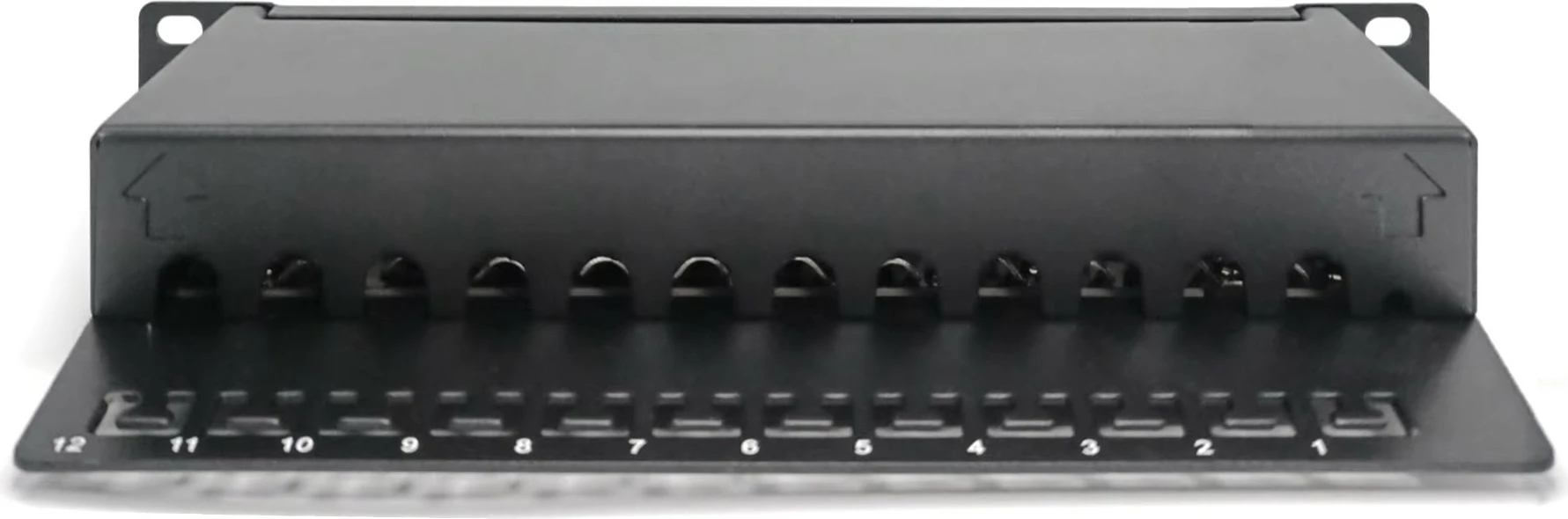 Patch panel Digitus Cat.6A 12-portë, 10", i zi